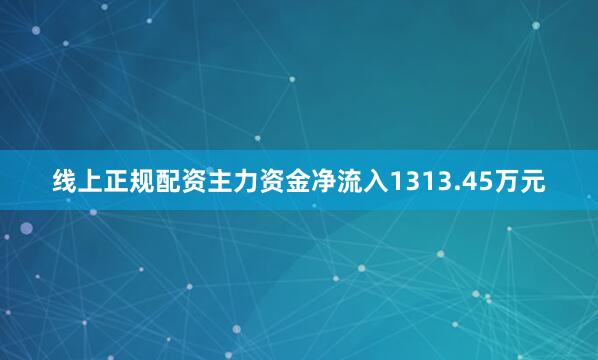 线上正规配资主力资金净流入1313.45万元